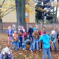 5937979463cfotkyi-021