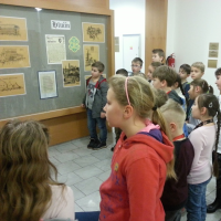 59647191020170113101745