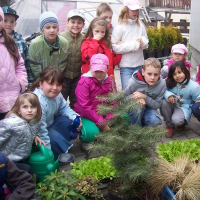 59874858zelenina-275