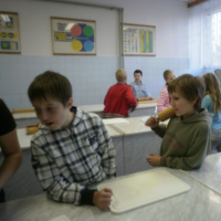 599795258pb060079