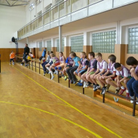 602319482vybij-028