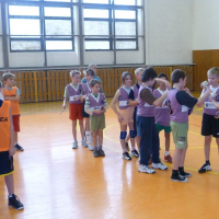 603254779vybij-043