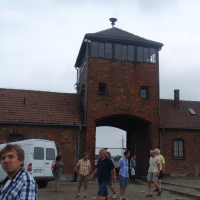 611695135p6220113