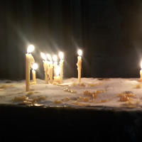 620260269stephansdom-8