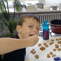 62720385img20161116091355