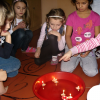 63255312snv19133-web