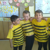 658370437akademie-l11
