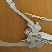 66411687720150423-1113980710204561979711454284964041n