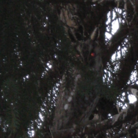 6797993120080125132134