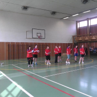 68820375volejbal-01