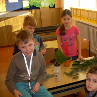 704290480dscn3004
