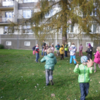 711187133pb010067