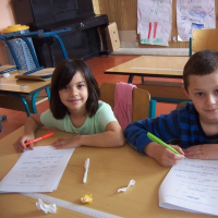 718666860zelenina-229