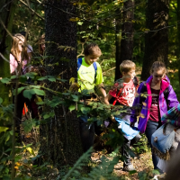 7215536475blesniskola-007