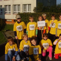 7228419vsetin2010-001