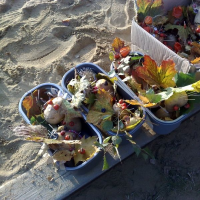 72489584uspavani-broucku-a-berusek-15.10.2010-40