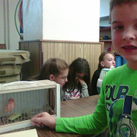 7254336photo0079