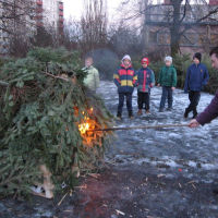 73332980320080110175941