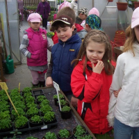 739718986zelenina-271