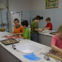 74135550420081208132937