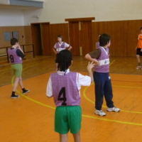 744745632vybij-026