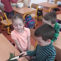 76531122320170328092144