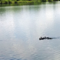 77277634img20150625103554-900