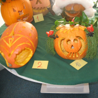 7739912620081006113747