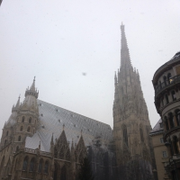 79446824stephansdom-12