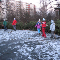 79639185420080110175935