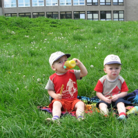 80145569320080513234840