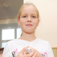 8020754zviratka-04