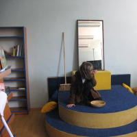 80413511420090420135151