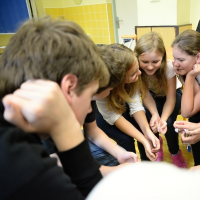 81022167900-dsc7890-