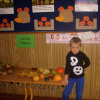 814662261dscn3649