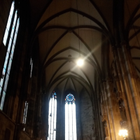 818302902stephansdom-7