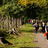 82282735blesniskola-001