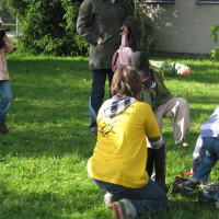 82680118620090604134937