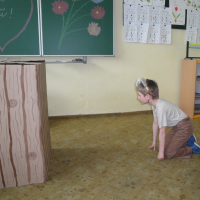 833338762dsc00343