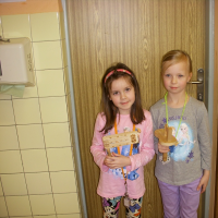 83818887120150401-dscn2552