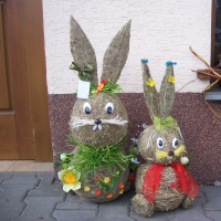 84171673zelenina-322