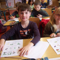 843755450zelenina-247