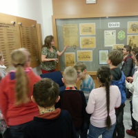 86040896520170113101754