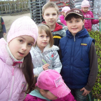 87015983zelenina-286