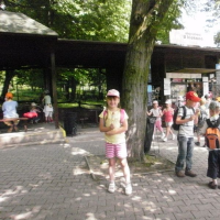 870217562p6060142