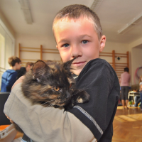 87083362zviratka-25