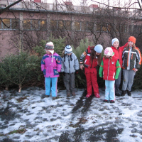 87423043020080110175917