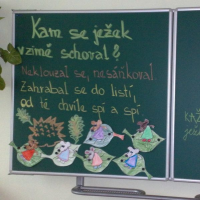 874354291kam-se-jezek-v-zime-schova-9
