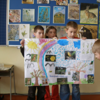 87723012520090327070610