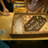 888572275pb210003-800x600